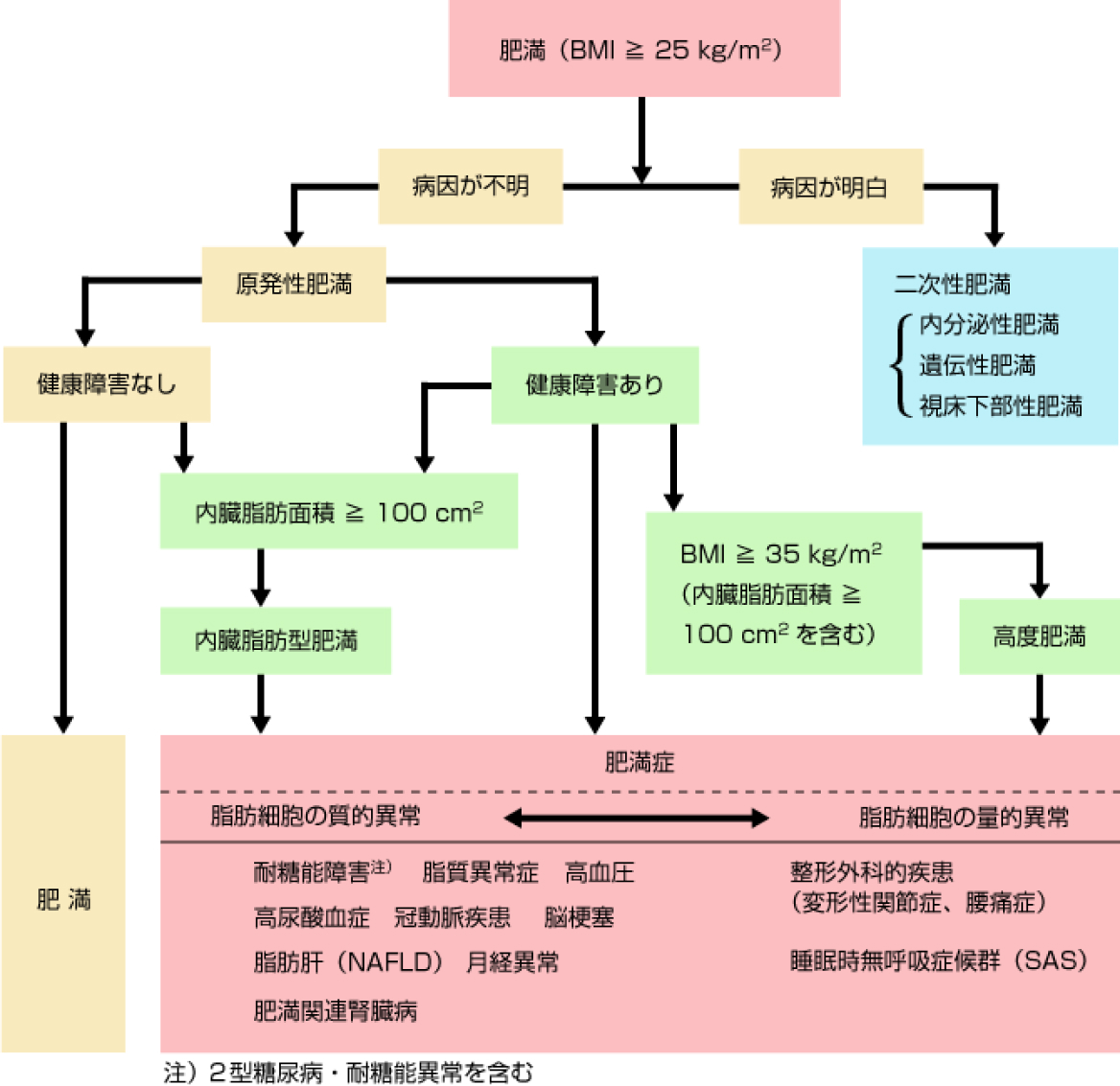 肥満の診断